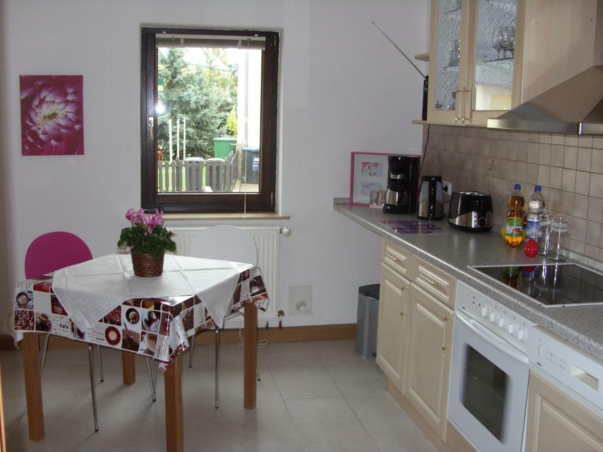 Ferienwohnung Frenkel Freital Bagian luar foto